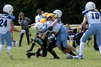 LITH-Eagels-2025-0014