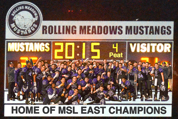 2015-poster-20-x30