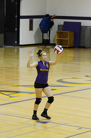 RMHS-GVB-2013-0012