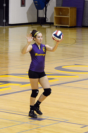 RMHS-GVB-2013-0008