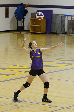 RMHS-GVB-2013-0010