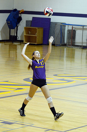 RMHS-GVB-2013-0018