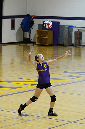 RMHS-GVB-2013-0014