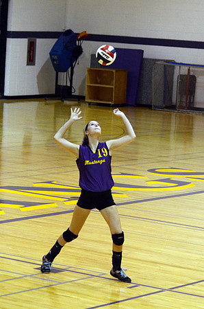 RMHS-GVB-2013-0024