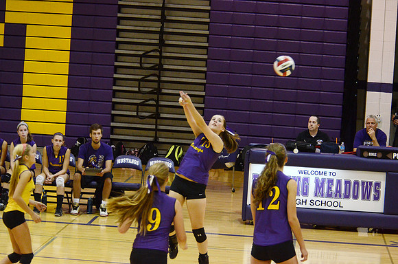RMHS-GVB-2013-0015