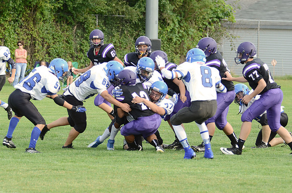 Freshman_A-FB-2013-0015