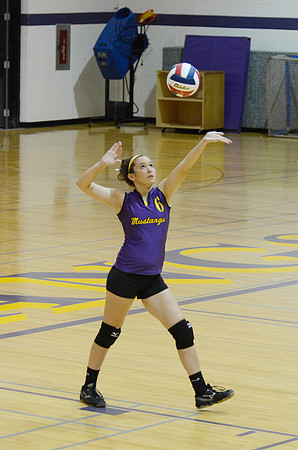 RMHS-GVB-2013-0009