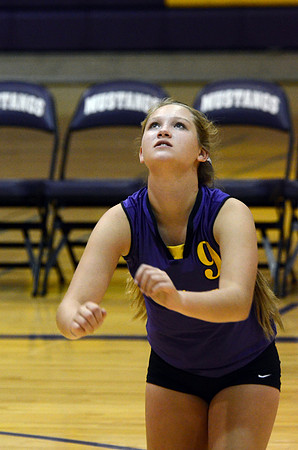 RMHS-GVB-2013-0002