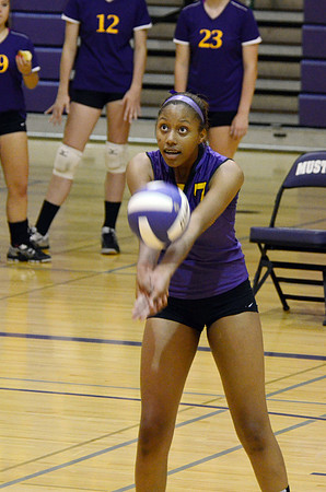 RMHS-GVB-2013-0003