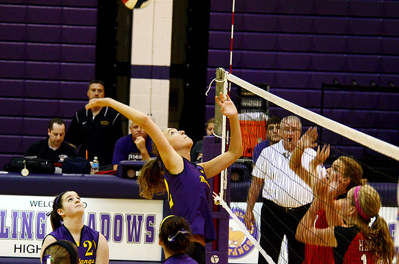 RMHS-GVB-2013-0017