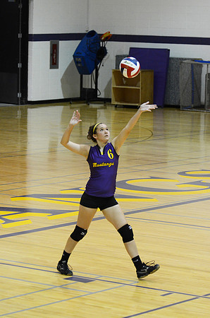 RMHS-GVB-2013-0013