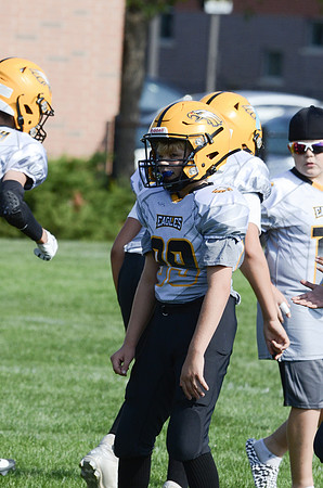 LITH-Eagels-0002